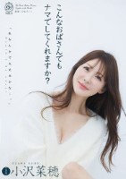 こんなおばさんでもナマでしてくれますか? 小沢菜穂