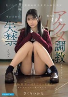 セクハラ中年教師に弱みを握られた私は校内で寸止めアクメ調教を繰り返され所かまわず失禁しながら羞恥絶頂するはしたない変態女に成り下がってしまいました…。 さくらわかな