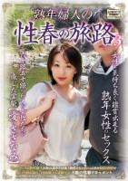 熟年婦人の性春の旅路3